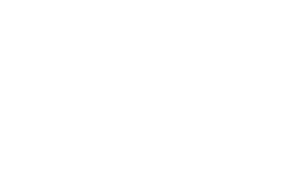 silverpeak